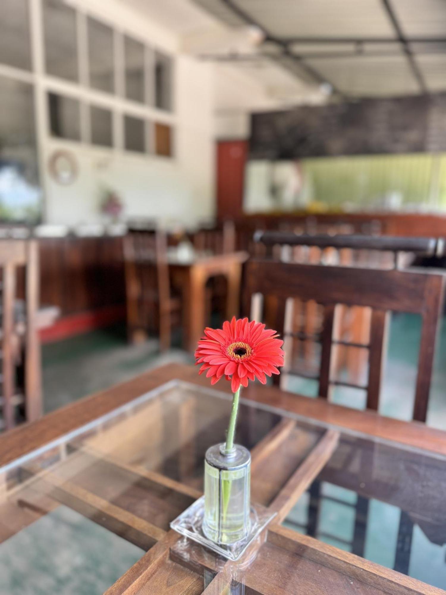 Ella Nature Life Guest & Restaurant -Free Pickup From אלה מראה חיצוני תמונה